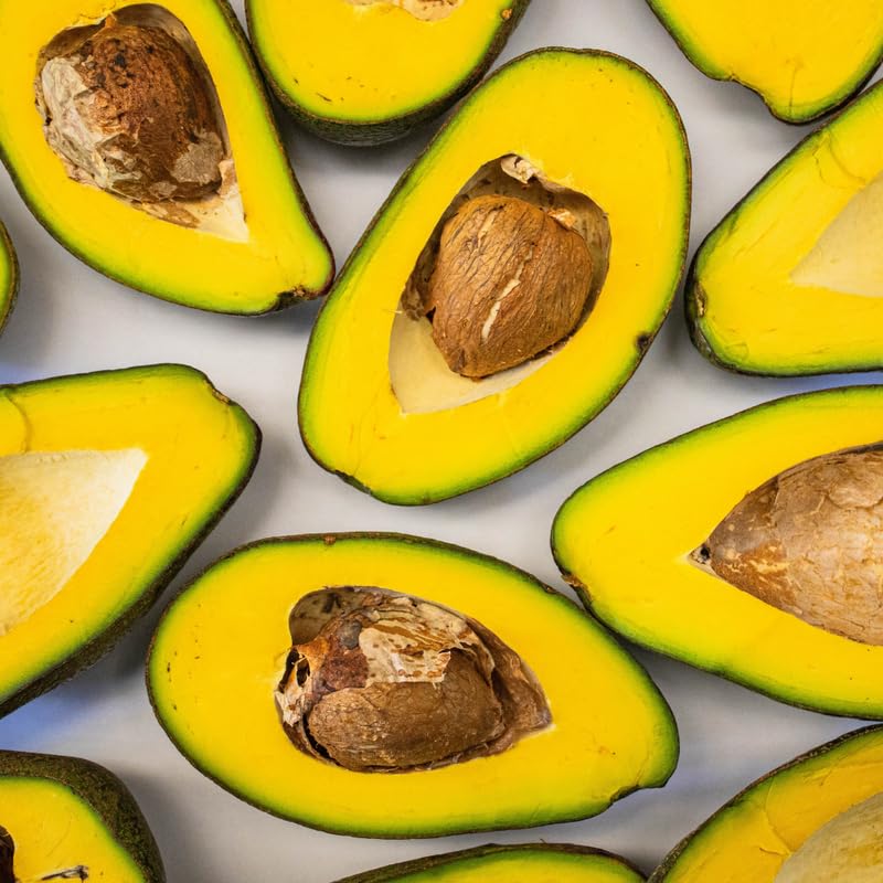 HASS Avocado Tree Grafted, Live Avocado Tree for Planting Outdoor 1-2 Feet Tall Including Pot, No Shipping to CA