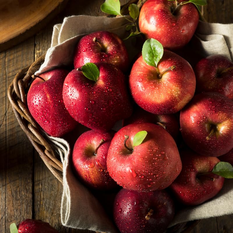 Red Delicious Apple Tree Live Plant, 3 Feet Tall in 5 Gallon Pot, Ready to Bear Fruit, Spring Tree for Garden Orchard