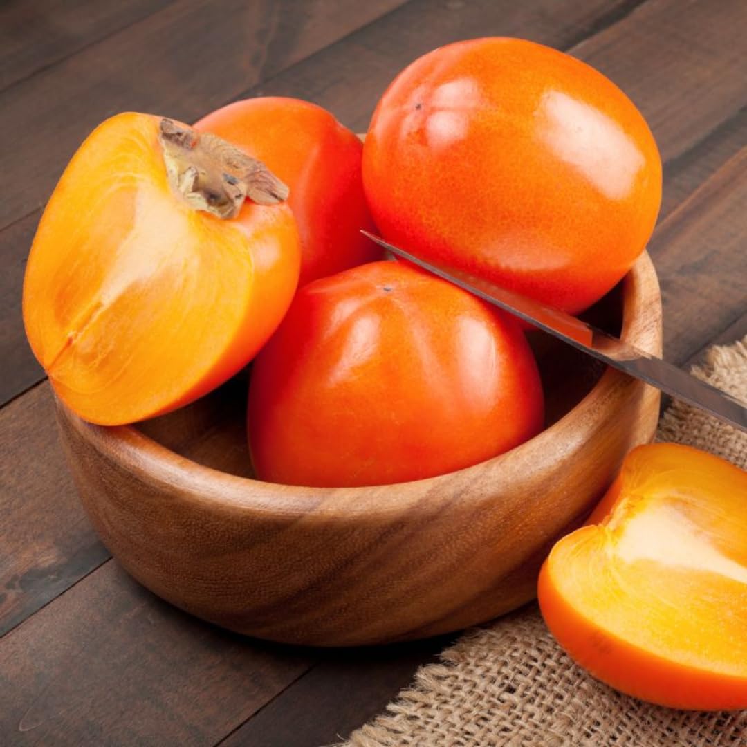 Persimmon Tree Live Plant,1 Feet Tall, Cold Hardy Fruit Persimmon Plant