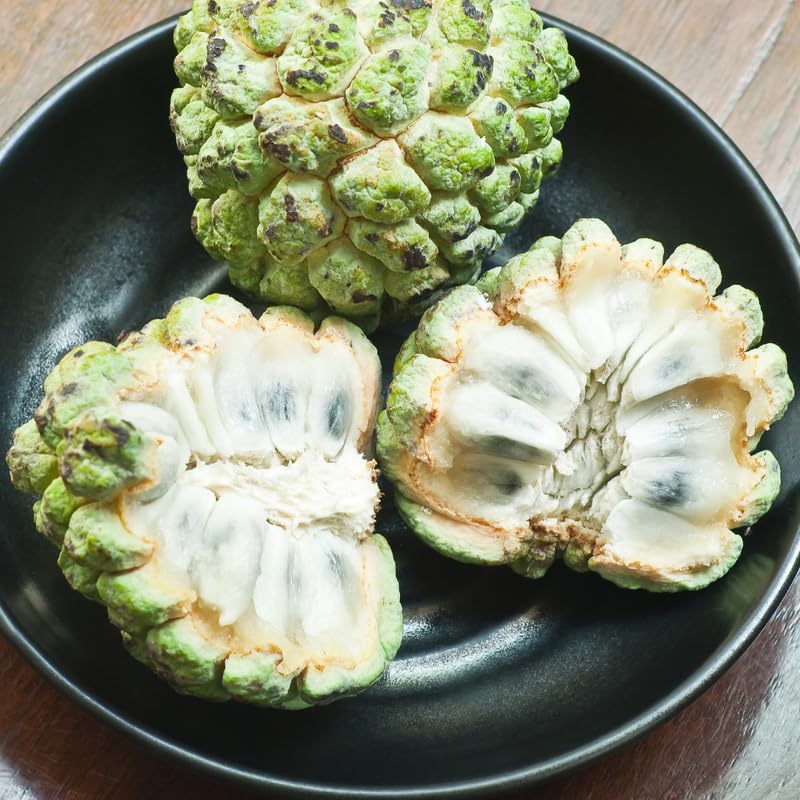 Green Sugar Apple Tree, Sugar Apple Fruit Trees Live Plants, 3 Gallon Pot, 2-3 Ft Tall Plant for Growing Outdoor, No Ship to CA