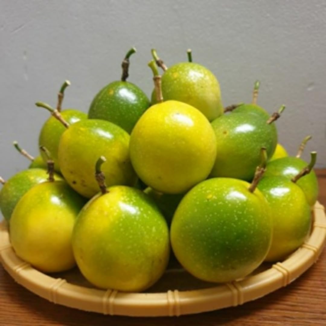 Set 2 Yellow Passion Plants Live, Passion Fruit Vine Live Plant, 4 to 6 Inc Long