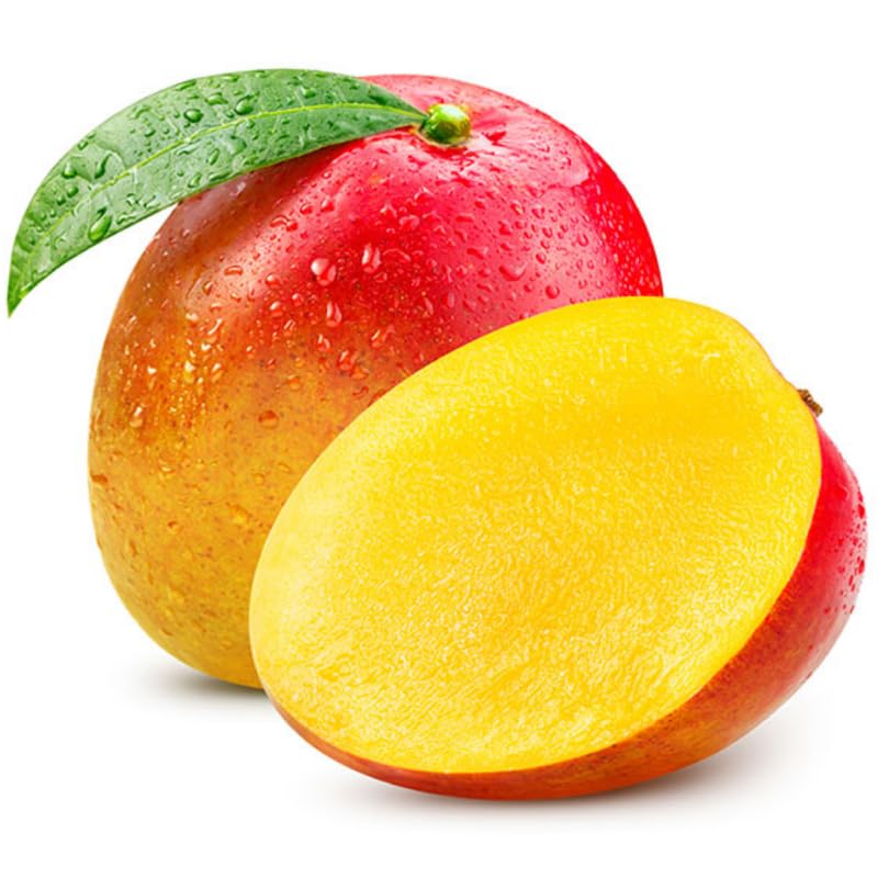 Red Mango Tree Live Plant, Fully Rooted in 3 Gallon Pot, Tropical Mango Fruit Tree for Indoor or Outdoor Growing