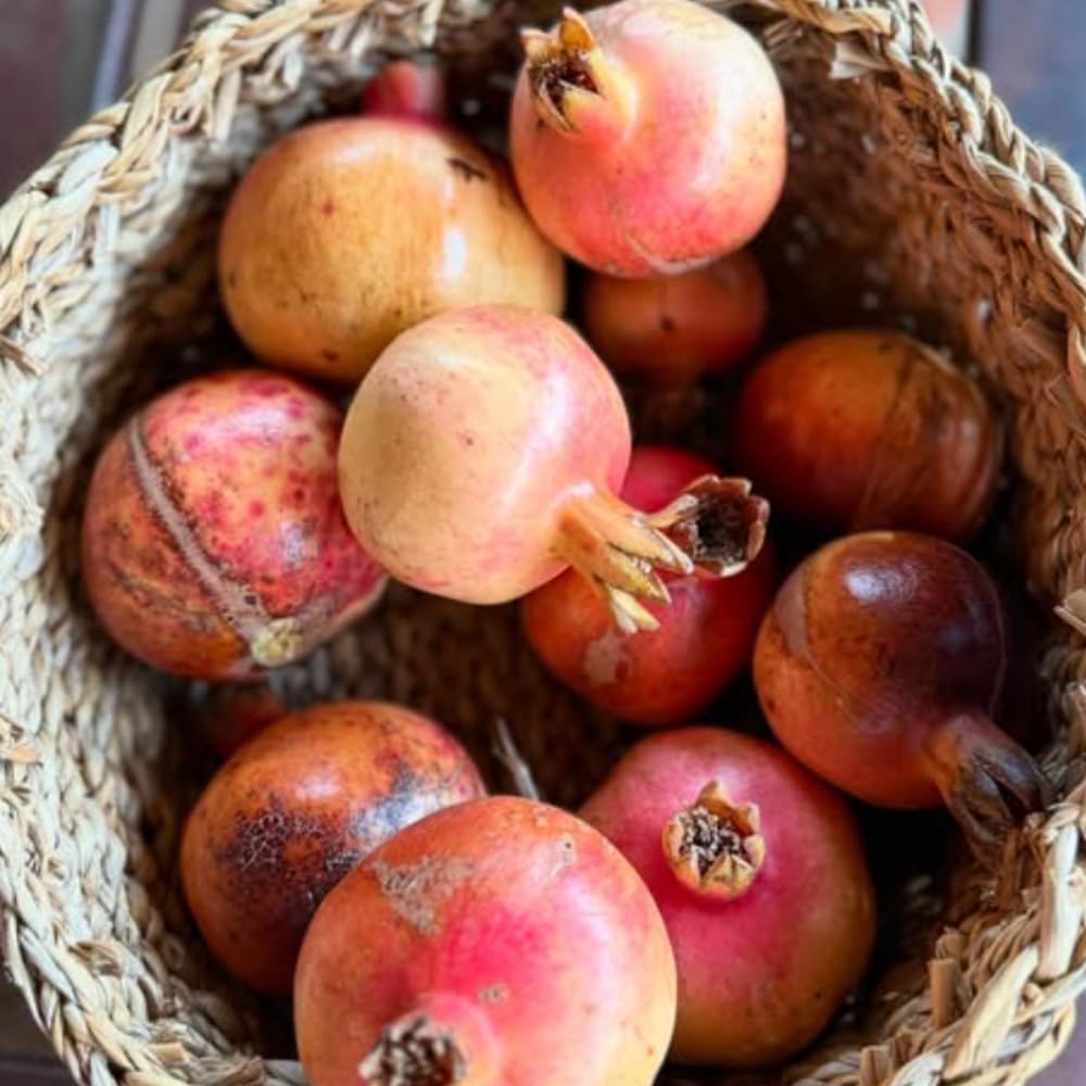 Red Pomegranate Tree Live Plant, 2 Feet Tall, Sweet Fruit Tree Plant, Pomegranate Plant Live, No Ship to CA