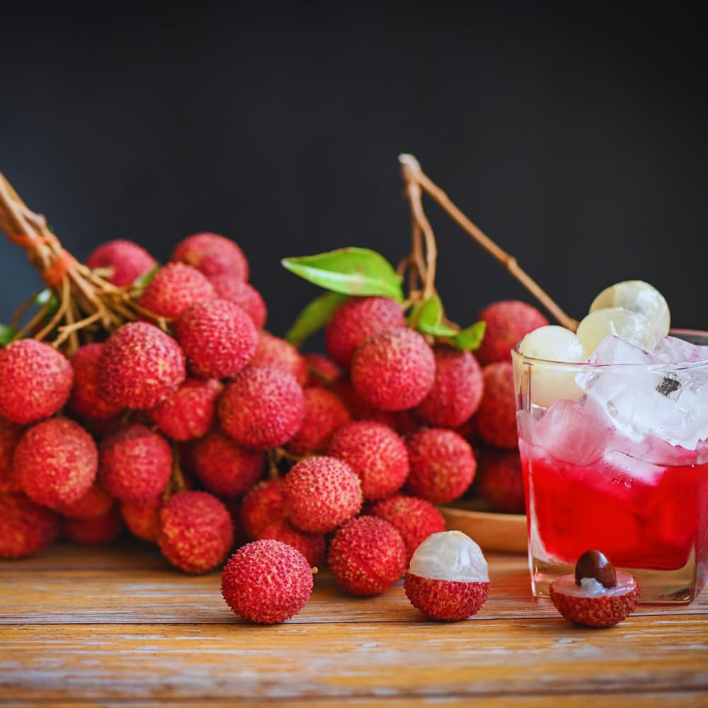 Live Lychee Fruit Tree, Sweet Lychee Tree Live Plant for Gardening Outdoor, 3 Gallon, No Ship to CA