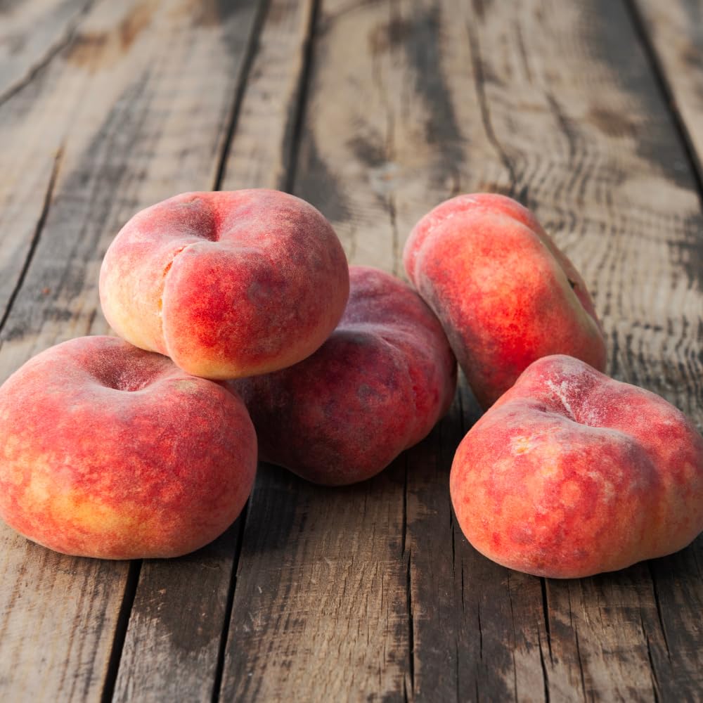 Donut Peach Tree Live Plant, 2 to 3' Tall in 5 Gallon Pot, Peach Fruit Tree, Sweet Fruit for Outdoor Planting, No Ship to CA