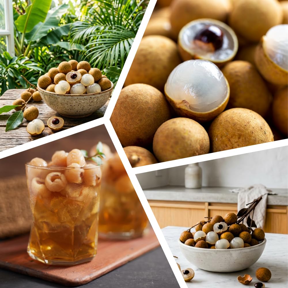 Live Longan Fruit Tree, Longan Tree Live Plant, 3 Gallon Pot, 2-3 Feet Tall, Sweet and Fragrant Fruit, Easy Care Outdoor Tree, No Ship to CA