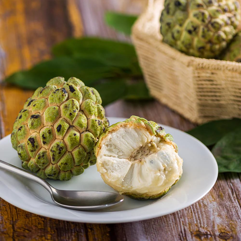 Sugar Apple Plant Live, 7-12 Inch Tall, Annona Squamosa Sugar Apple Fruit Tree Live Plant, in 3.5" Pot
