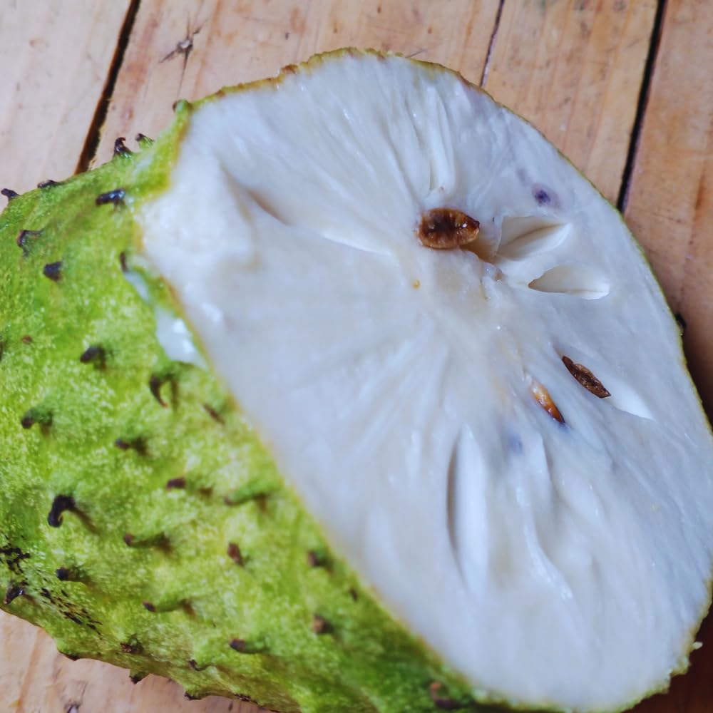 Soursop Tree Live Plant, Annona Muricata Plant, Guanabana Fruit Trees, 2-3 Feet Tall, Sweet Soursop Plant, Easy to Plant, No Ship to CA