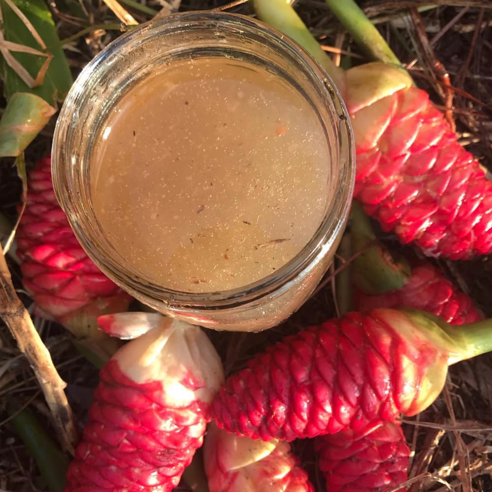 8 Awapuhi Shampoo Ginger Roots for Planting, Ginger Rhizomes Zingiber Zerumbet, Hawaiian Ginger Lily Plants for Perennial Growing
