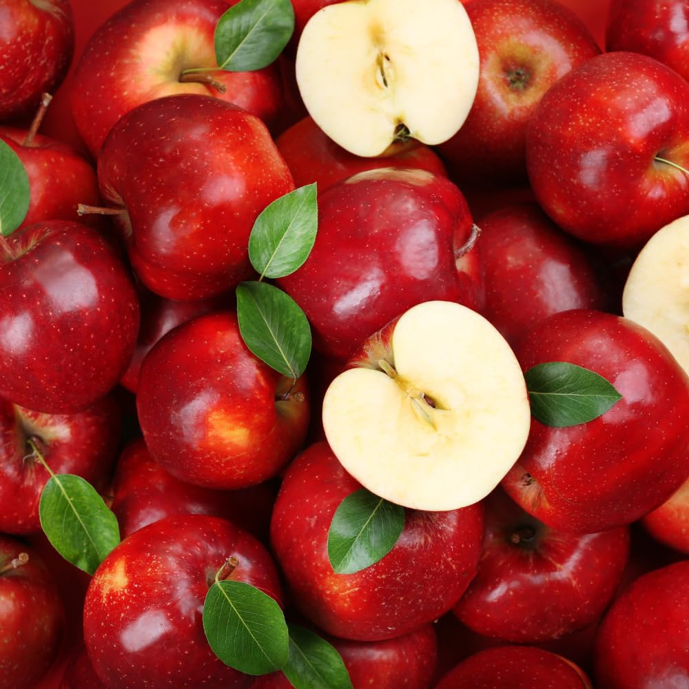 Apple Trees Live Plant, Red Delicious Apple Tree in 3 Gallon Pot, Sweet Fruit Tree from 2 to 3 Feet Tall, Ready for Outdoor Garden, No Ship to CA
