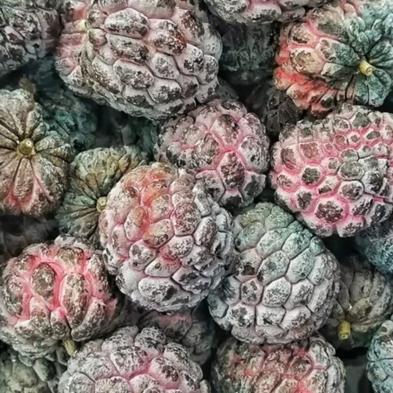 Red Sugar Apple Tree, Sugar Apple Fruit Trees Live Plants, 3 Gallon Pot, 2-3 Ft Tall Plant for Growing Outdoor, No Ship to CA