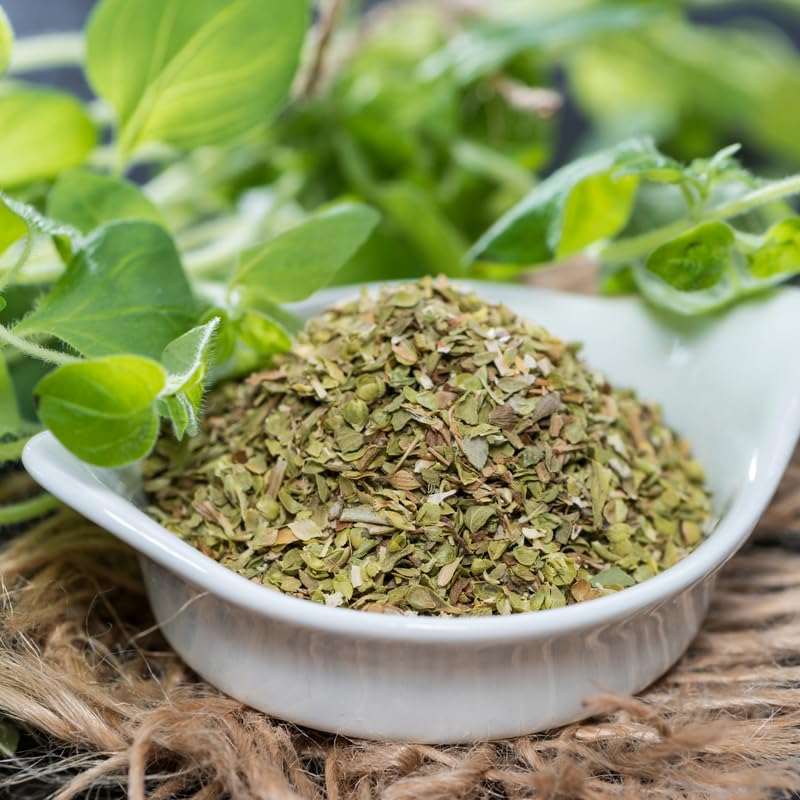 4 Oregano Plants Live, Well Rooted Herbs Starter 4-8 Inches, Versatile Garden or Patio Plants for Planting