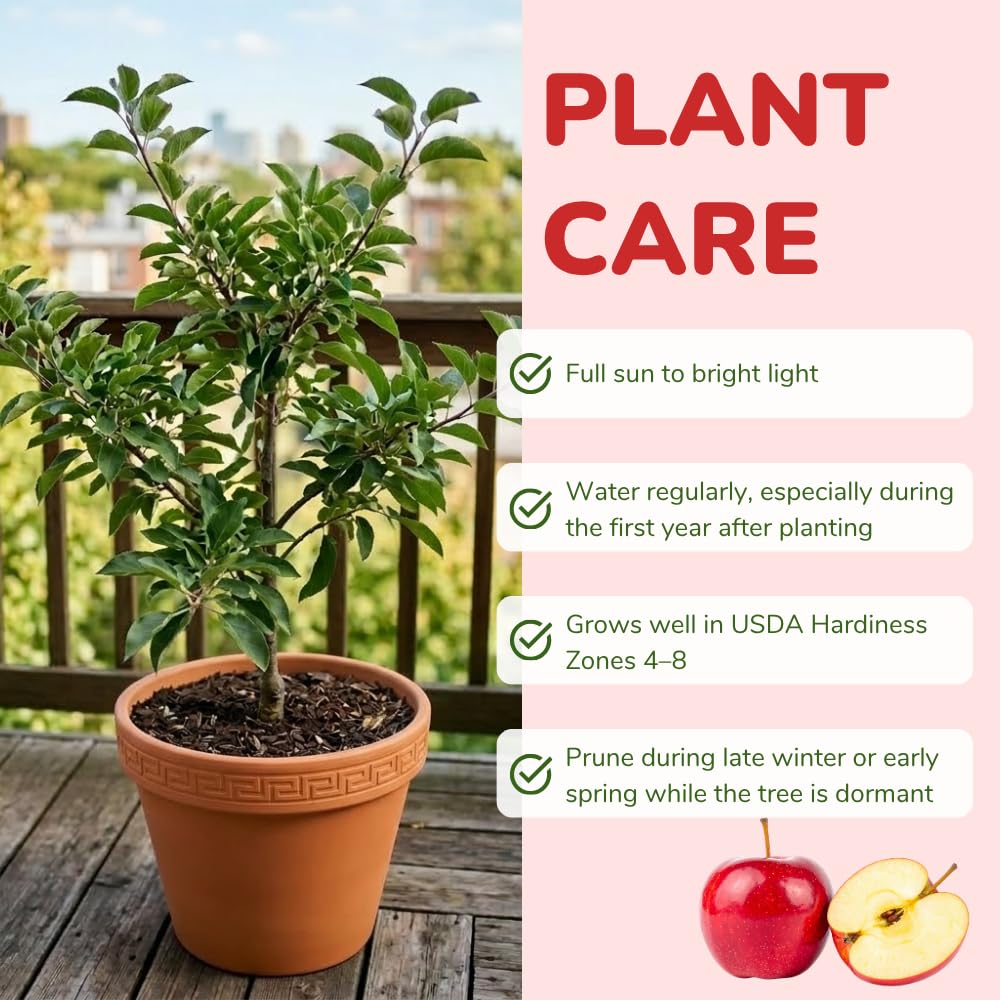 Red Delicious Apple Trees Live Plants, Apple Tree, Well Rooted, 3 Feet, 3 Gallon Pot, Sweet Fruit Tree for Edible Garden, No Ship to CA
