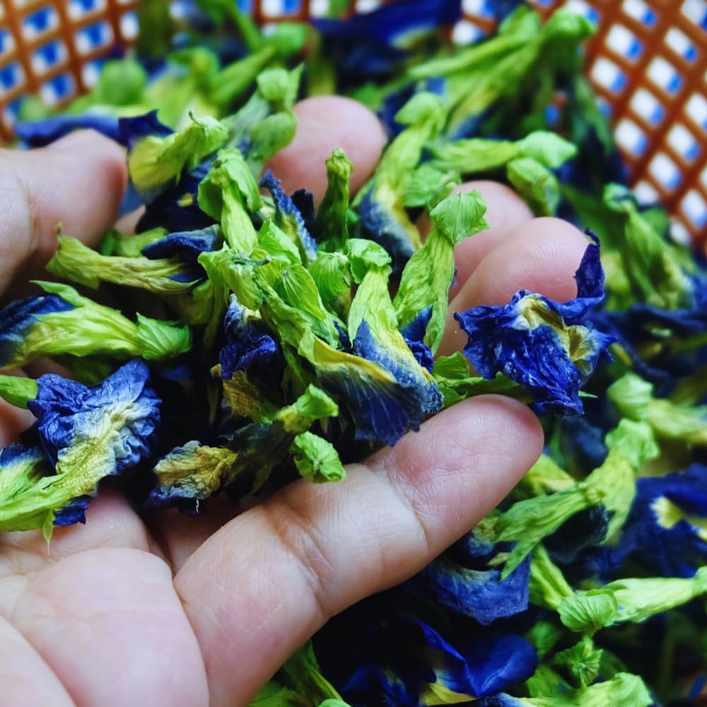90 Butterfly Pea Seeds for Planting, Butterfly Pea Flower Vegetable Seed Growing Outdoor