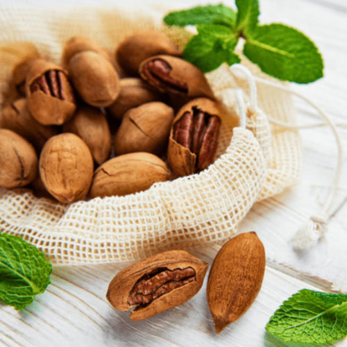 1 Pecan Tree Plant Live Well-Rooted, 1-2 Feet Tall, Dormant, Bare Roots, Hardy Pecan Nut Seedlings Ready to Plant Outdoor, Fast-Growing
