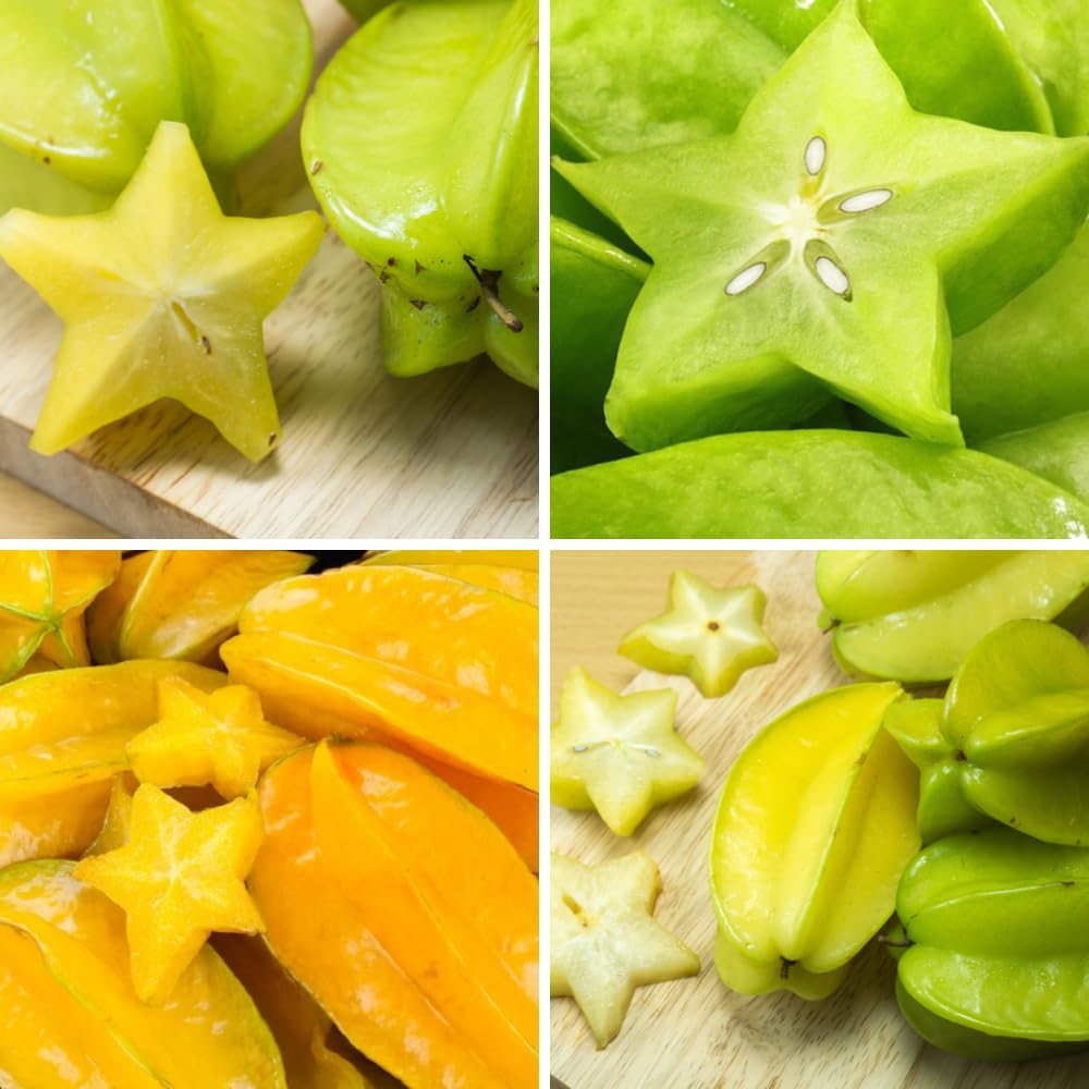 Grafted Starfruit Tree Live Plant, Sweet Starfruit Plant, 3 Gallon Pot, 2-3 Feet Tall, Tropical Fruit Tree for Outdoor Garden and Container Growing, No Ship to CA