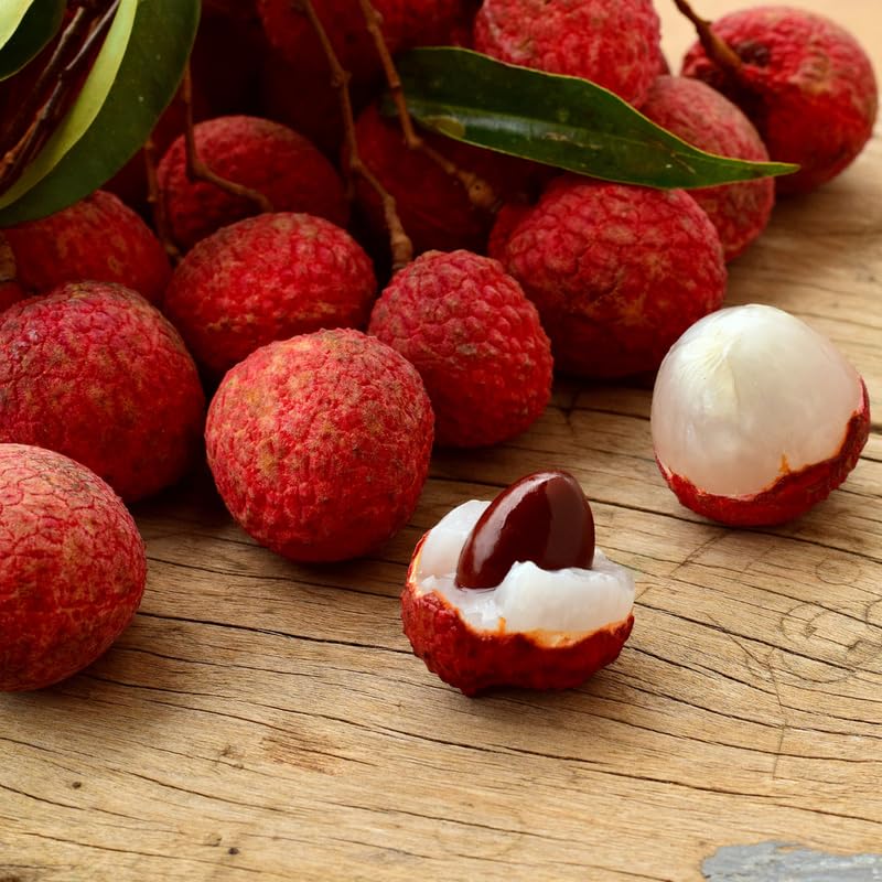 Sweetheart Lychee Live Plant, Lychee Tree Airlayered for Planting Outdoor in 3 Gallon Pot, No Shipping to CA