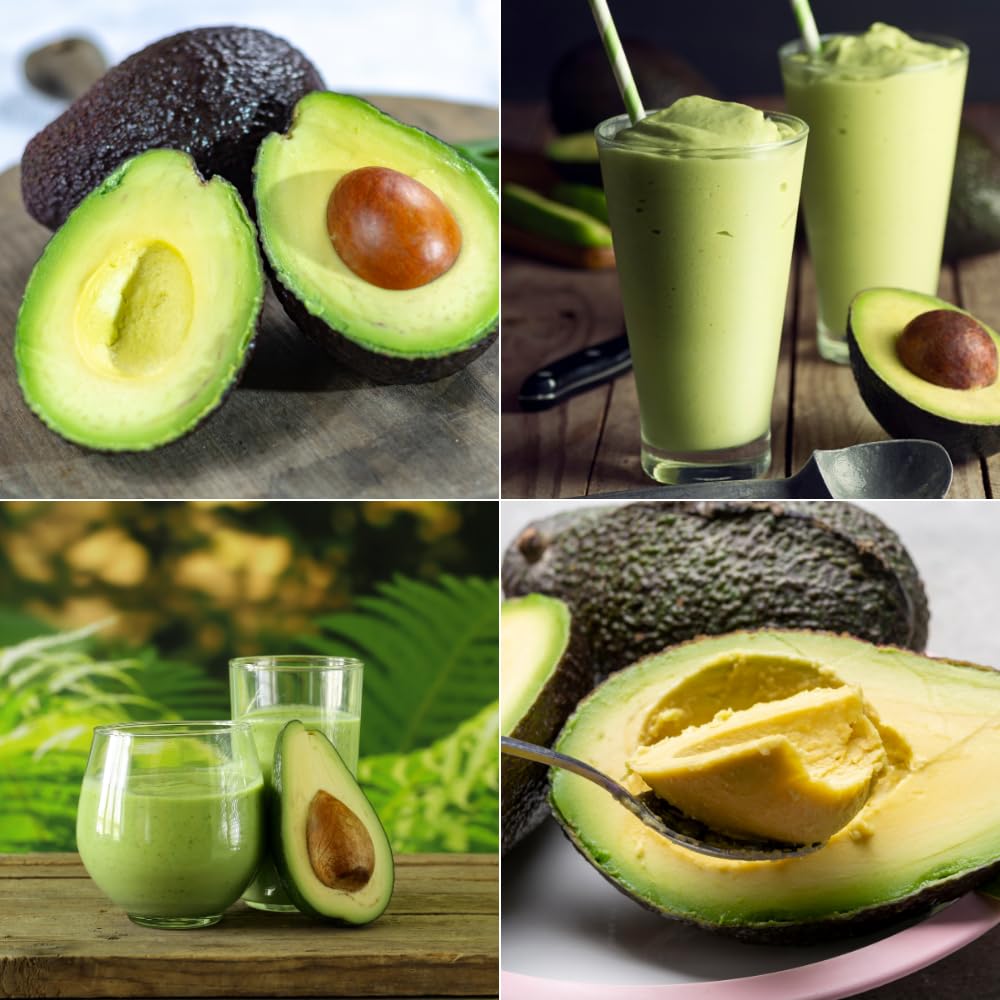 HASS Avocado Tree Live Plant, Avocado Plants Live in 3 Gallon Pot, Zones 9-11, Cold Hardy Fruit Tree for Outdoor Growing