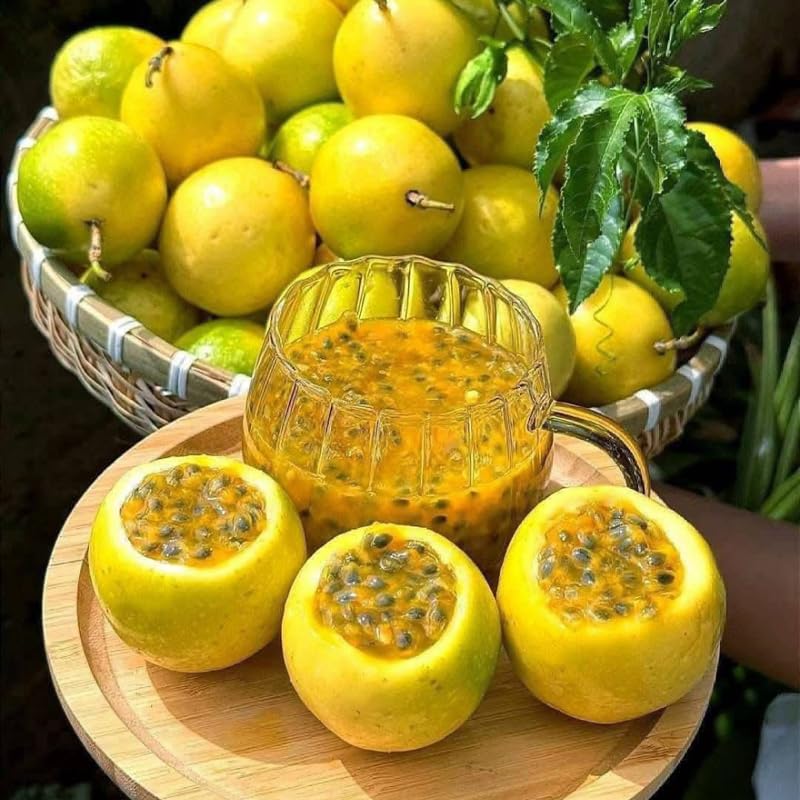Yellow Passionfruit Tree Live Plant, Passion Fruit Vine Plant, 4-8 Inches Tall, Outdoor Planting, Very Fast-Growing Vines