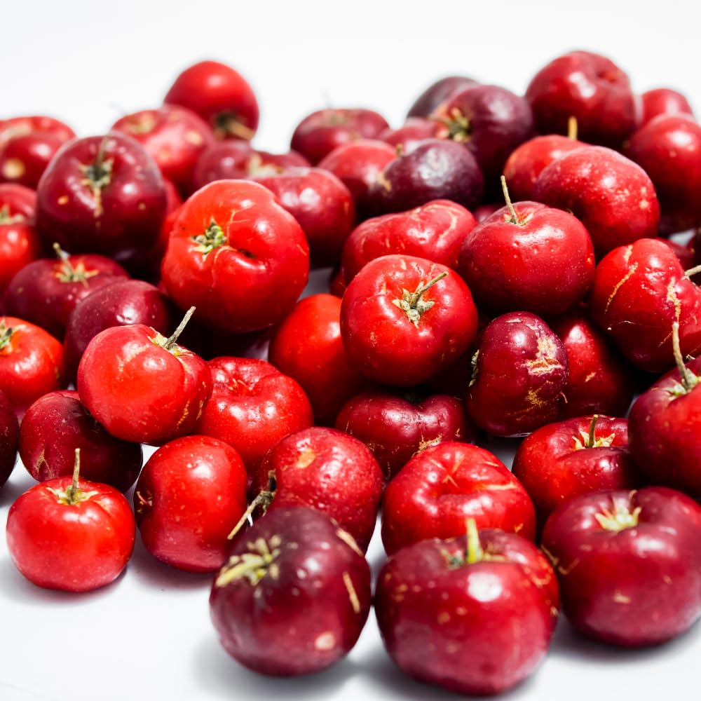 Barbados Cherry Tree Live Plant,1 Feet Height, Acerola Red Cherry Plant Live, Tropical Fruit Tree
