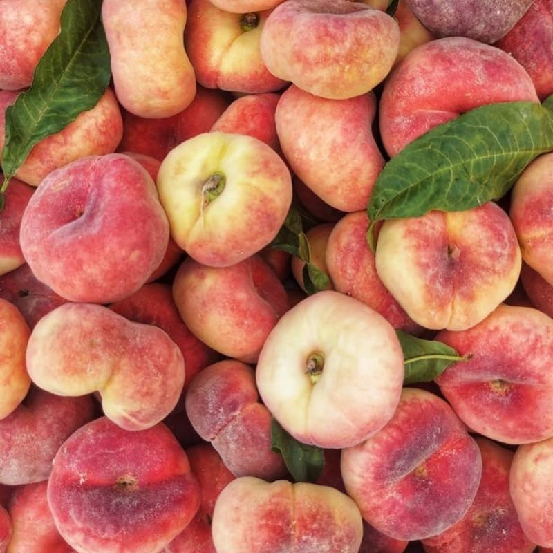 Donut Peach Tree Live Plant - 3 Ft Tall in 5 Gallon Pot, Sweet Peach Fruit Tree for Outdoor Garden, No Ship to CA