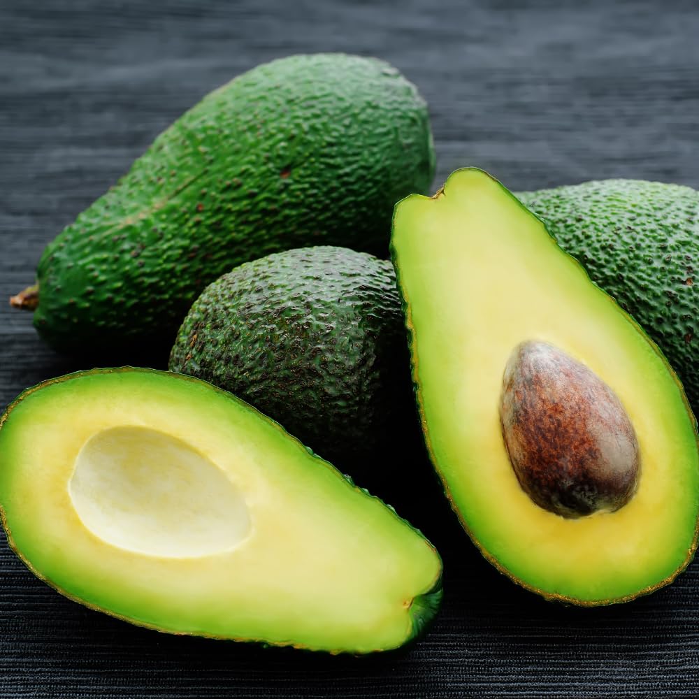 Super HASS Avocado Tree, Avocado Trees Live Plants in 3 Gallon Pot, Fruit Bearing Plant for Outdoor Garden, 1-2 Feet Tall, No CA