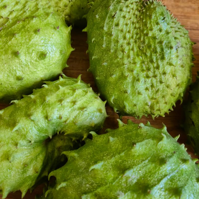 Soursop Tree Live Plant for Planting, Soursop Live Plant, 24-30 Inches Tall in 1 Gallon Pot, No Ship to CA