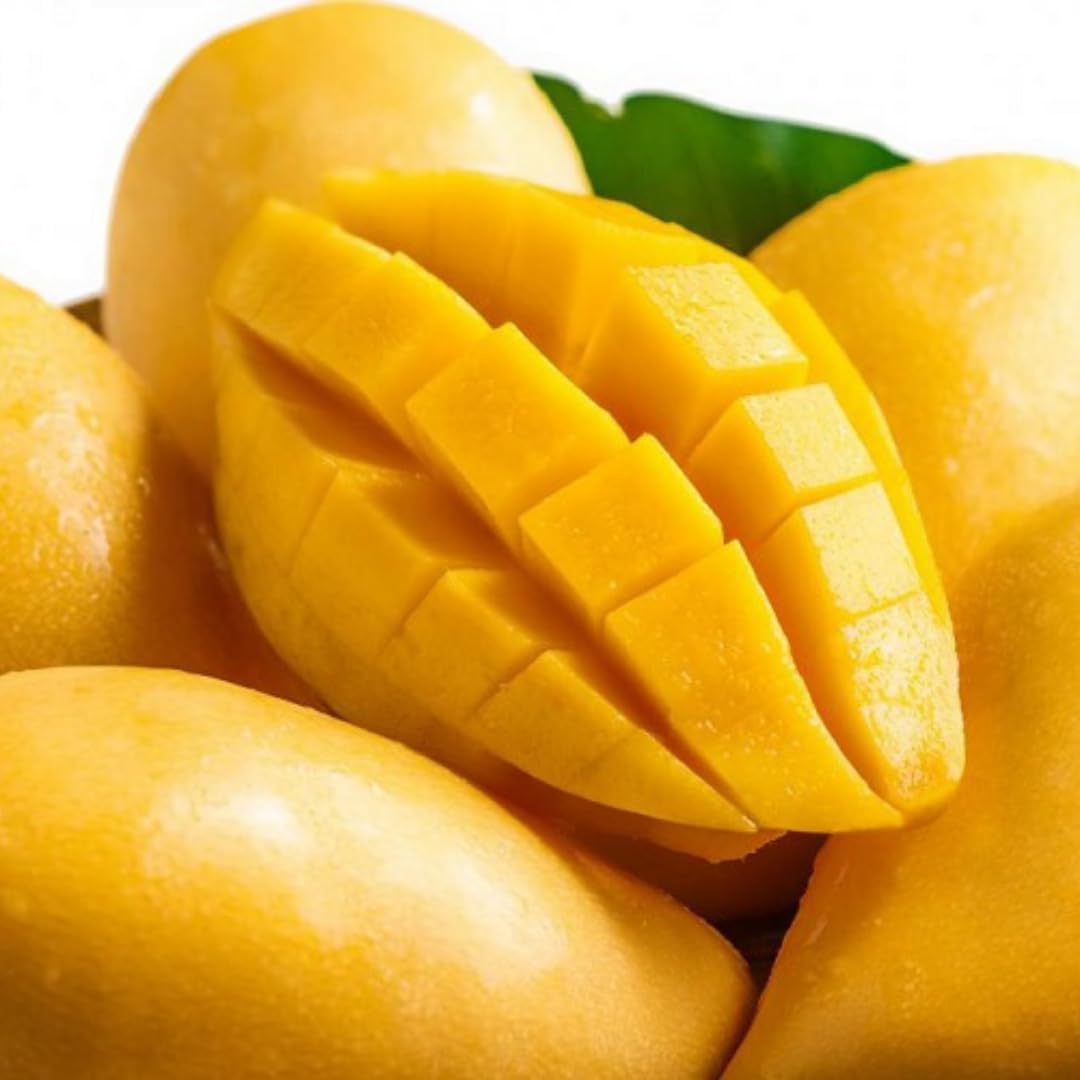 Mango Tree Live Plant, Sweet Mango Plant, Tropical Fruit Tree in 3 Gallon Pot for Outdoor Planting (Extremely Sweet Mango)
