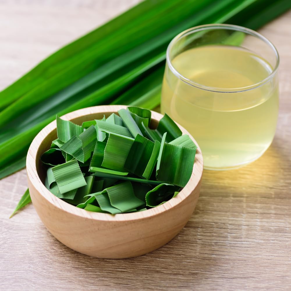 Pandan Plant Live, Fragrant Pandan Herb for Outdoor Garden, 4 to 6 Inches