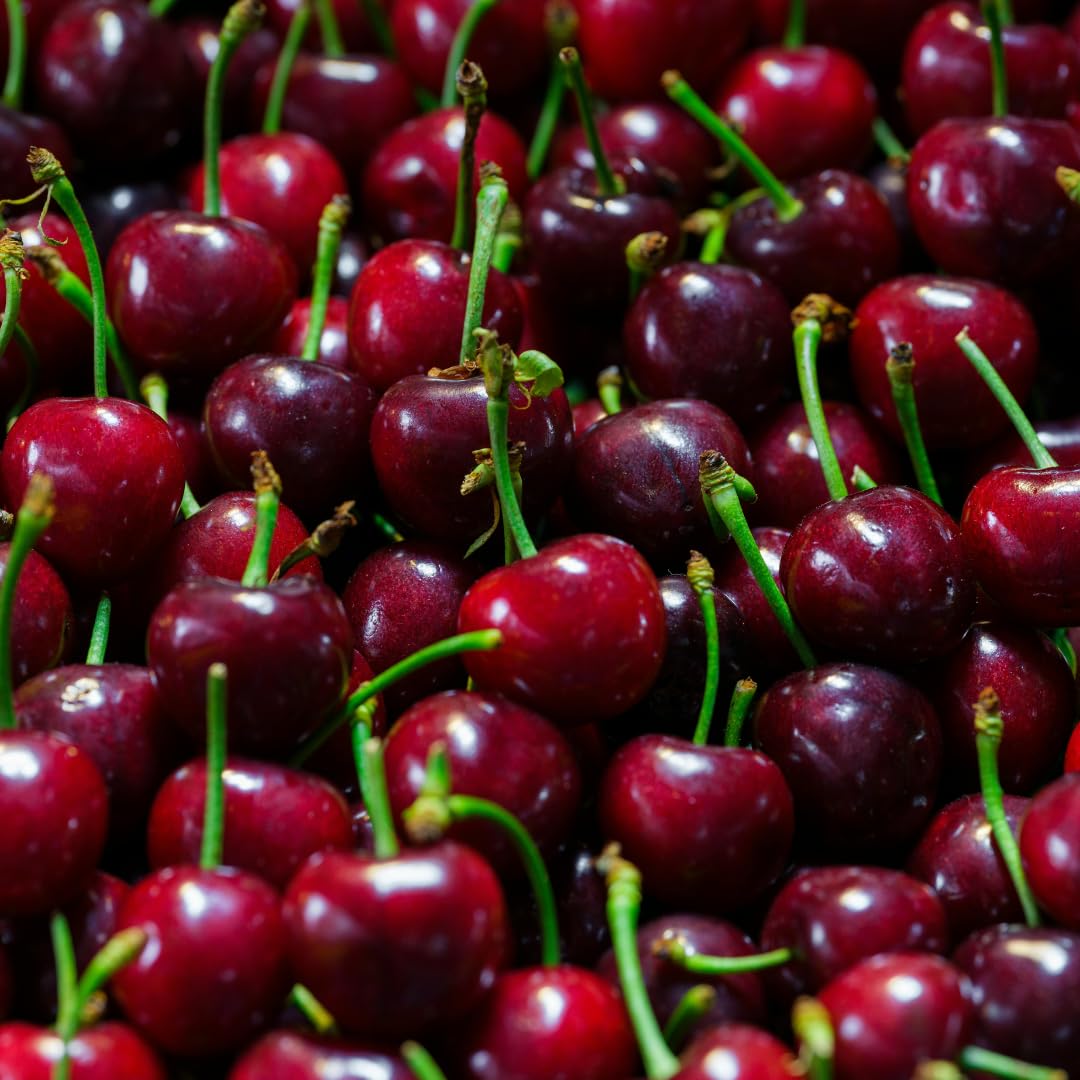 Cherry Tree Live Plant, Sweet Cherry Fruit Tree, Cold Hardy Outdoor Garden Tree, 3–4 Feet Tall in 3 Gallon Pot, Ready to Grow, No Ship to CA (Dark Red Cherry)