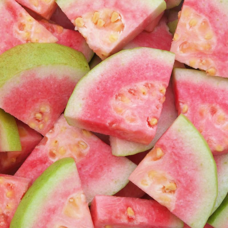 Pink Guava Plant, 3 Gallon, 2-3 Ft Tall Sweet Pink Guava Live Plant Potted, Tropical Fruit Plant, No Ship to CA