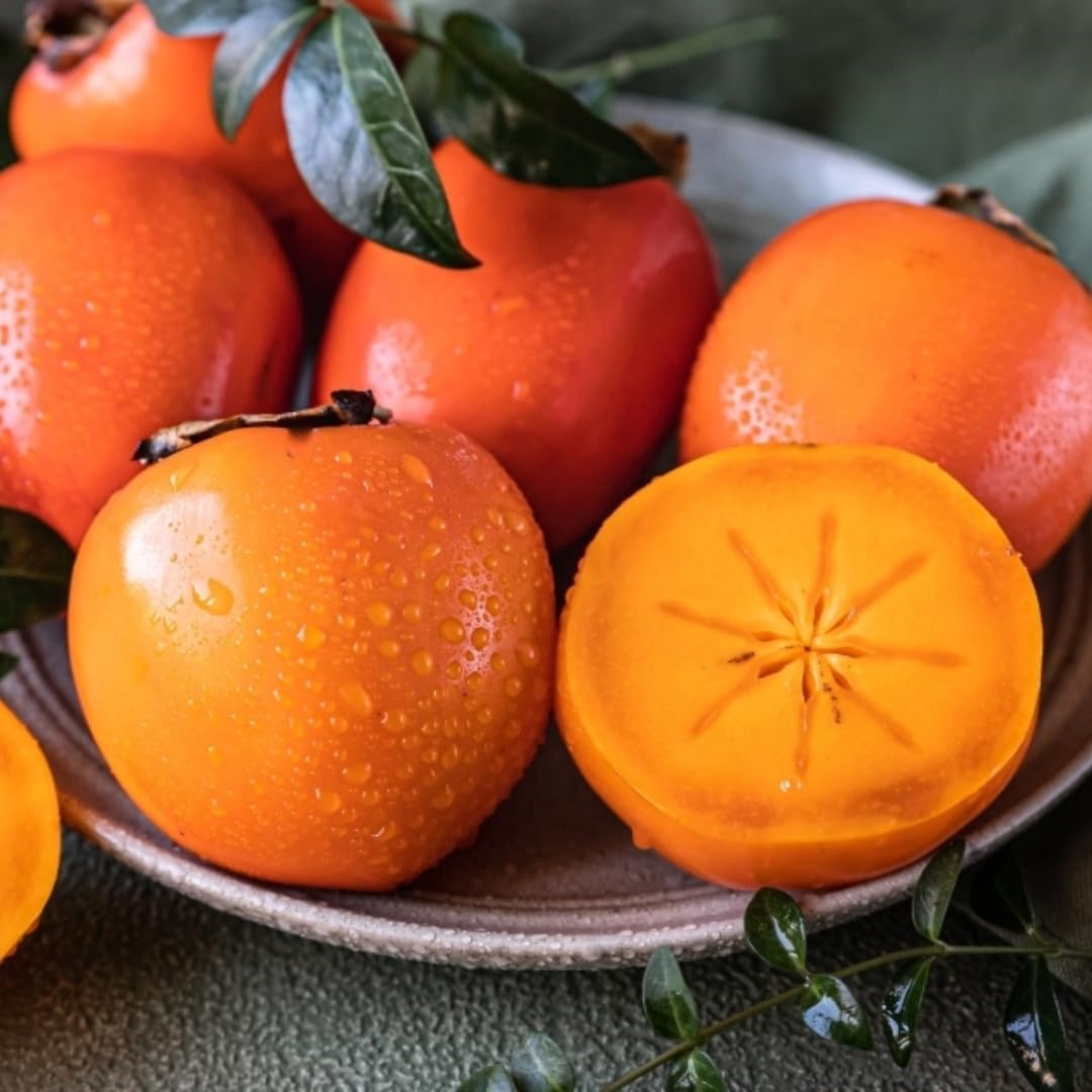 Persimmon Tree Live, 1 Feet Tall, Hardy Fruit Tree for Outdoor Planting, Sweet Orange Persimmons for Home Orchard and Garden