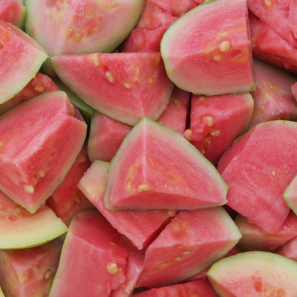 Pink Guava Tree Live Plant, Guava Plants Live for Planting, 3 Gallon Pot, 2-3 Feet Tall, Sweet Tropical Fruit Tree for Patio, Backyard and Outdoor Garden, No Ship to CA