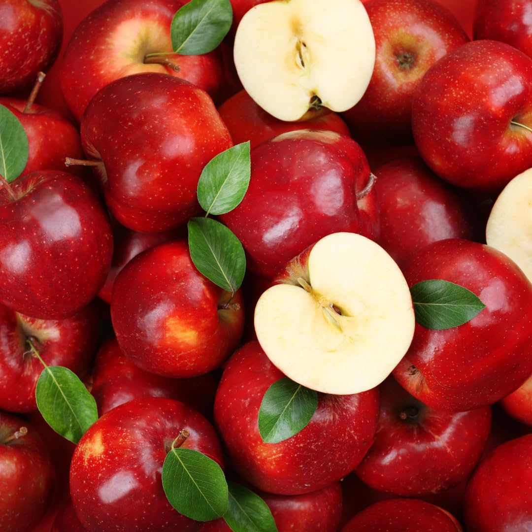 Live Delicious Apple Tree Plant, Sweet Apple Fruit Tree 2-3 Feet Tall in 3 Gallon Pot, Hardy Outdoor Tree, Ready for Planting, No Ship to CA (Red Apple)