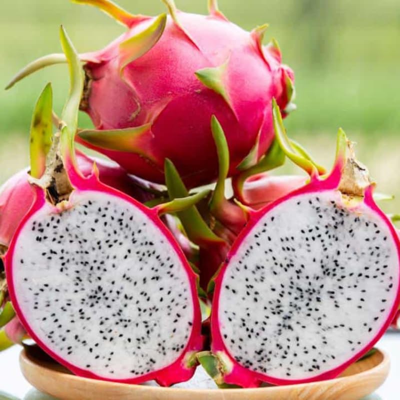 Dragon Fruit Plant Live in 3 Gallon Pot, Tropical Dragon Fruit Vine Plant, Sweet Fruit Cactus for Outdoor Growing