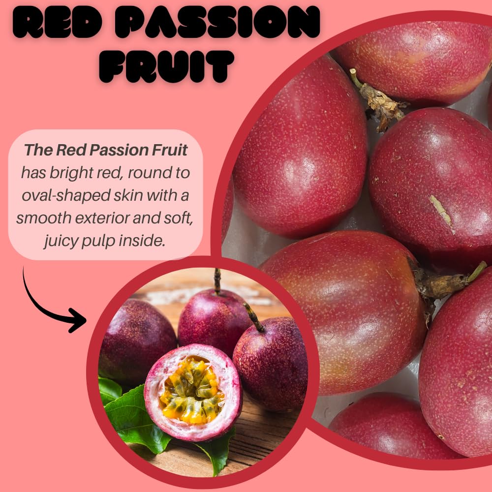 Red Passion Fruit Plant Live, Passion Fruit Tree Live Plant, Passionfruit Vine, 1 Gallon Pot for Planting