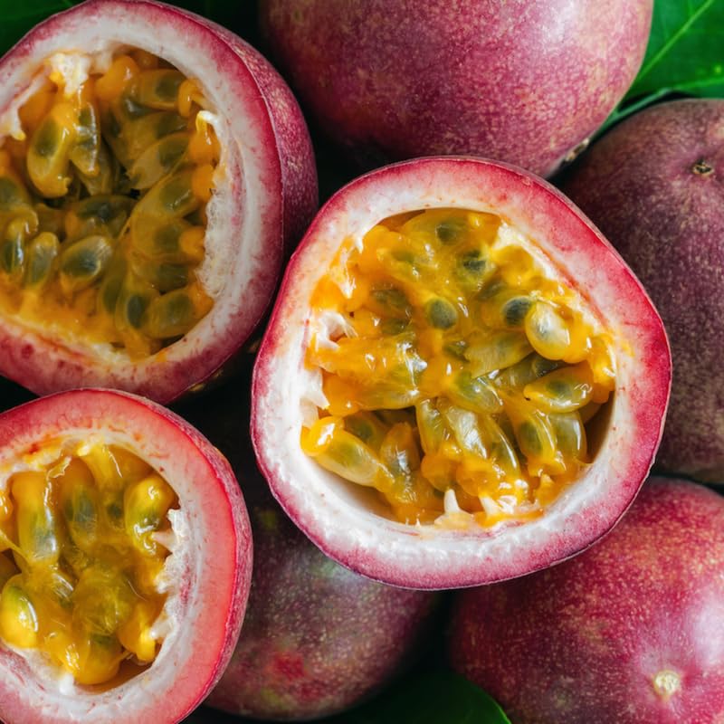 Dark Purple Passionfruit Tree Live Plant, Passion Fruit Vine Plant, 4-8 Inches Tall, Outdoor Planting, Very Fast-Growing Vines