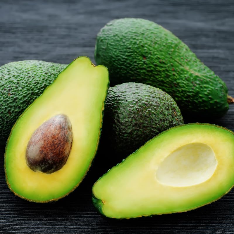 1-2 Feet HASS Avocado Tree Live in 3 Gal Pot, Grafted Avocado Fruit Plant for Home Garden, No Shipping to CA