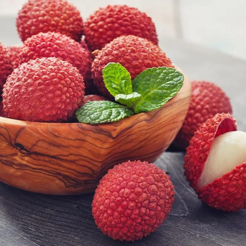 Sweet Lychee Tree Live Plant, Tropical Litchi Fruit Tree, 3-4 Ft Tall for Outdoor Garden, No Shipping to CA