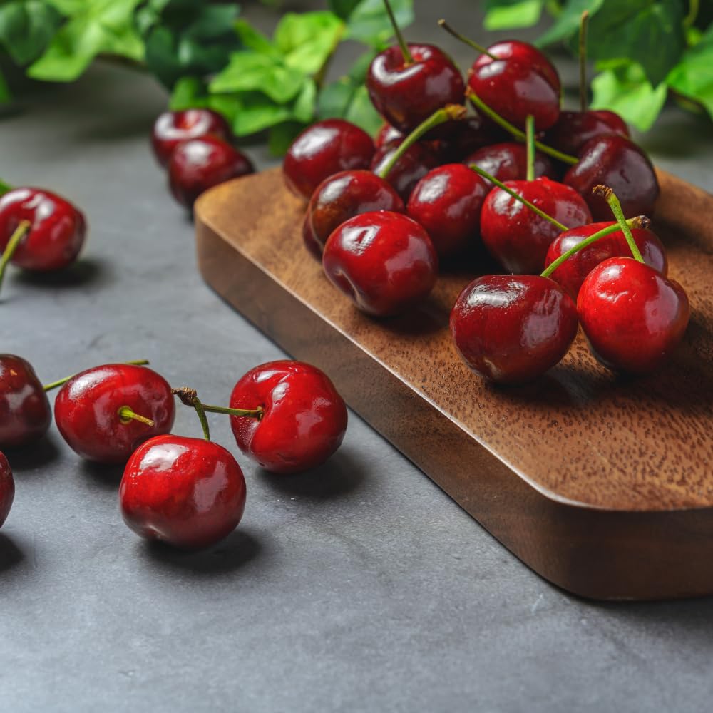Cherry Trees Live Plants, Sweet Black Cherry Tree, Well Rooted in 3 Gallon Pot, 3-4 Feet Tall, Hardy Cherry Fruit Tree Live Plant for Outdoor Garden, No Ship to CA