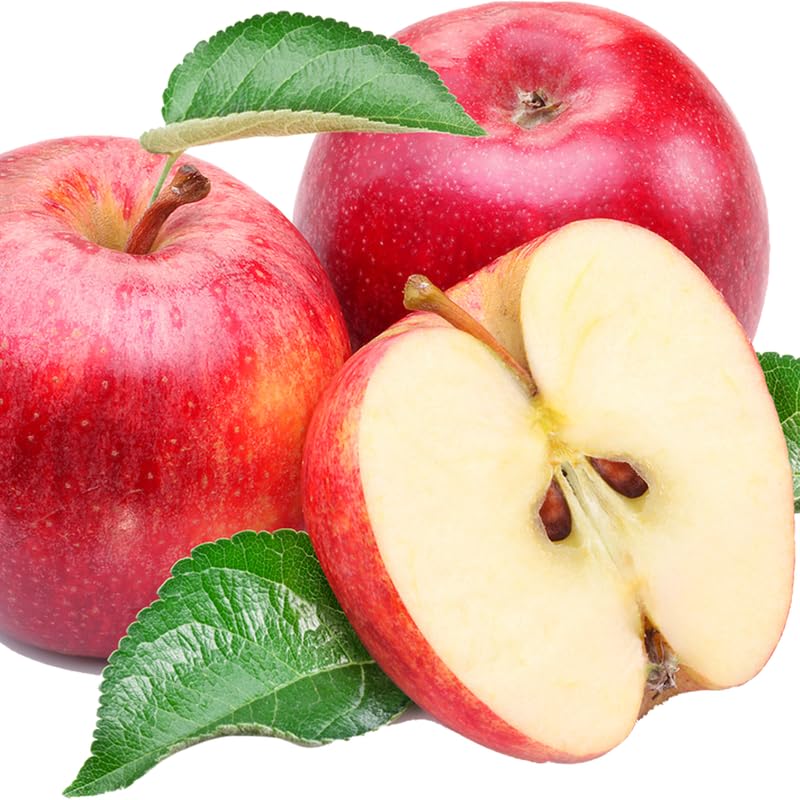 Live Red Delicious Apple Tree 5 Gallon, Apple Fruit Tree 3 Ft Tall for Backyard Orchard Planting Spring