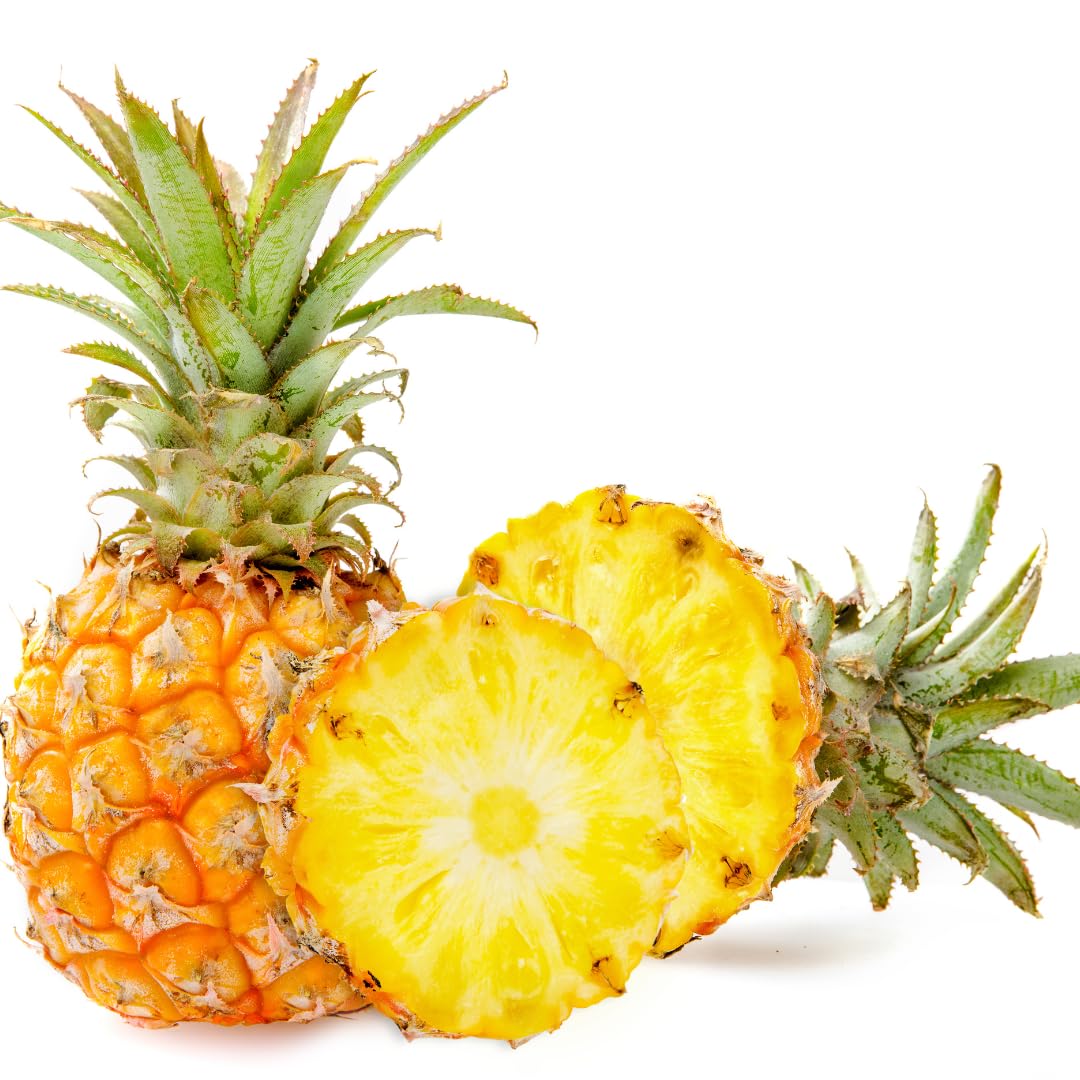 Pineapple Plant Live, Sugarloaf Pineapple Tree Shrub Bush, Starter Plant 4-7 Inches Tall, Outdoor Growing, No Pot, Sweet Flavor