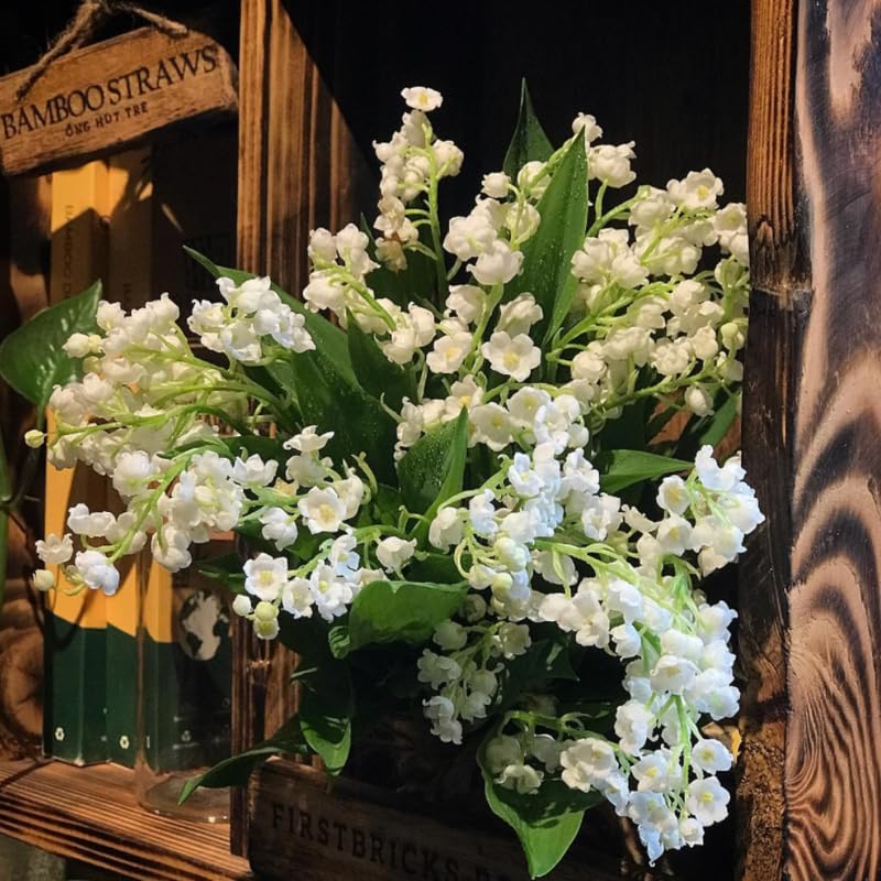 5 Lily of The Valley Bareroot, Lily of The Valley Bulbs for Gardening, Flower Plant Bare Roots