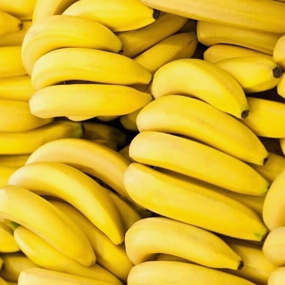 Dwarf Cavendish Banana Live Plant, Cold Hardy Fruit Tree, 1-2 Feet in Gallon Pot, Tropical Fruit for Outdoor Growing, No Ship to CA
