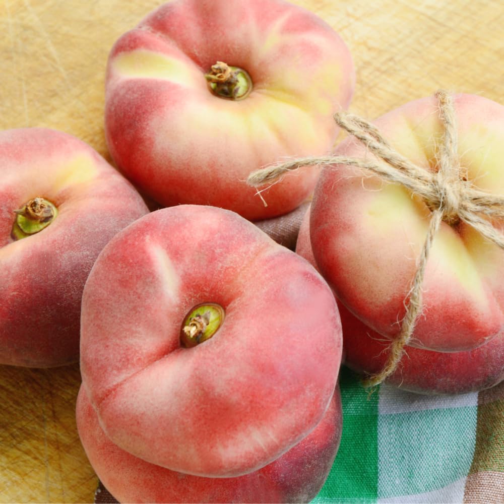 Ready to Bear Fruit Donut Peach Tree Live Plant, Thick Trunk Grafted Peach Plant 3 Gallon Pot, 3-4 Ft in Tall
