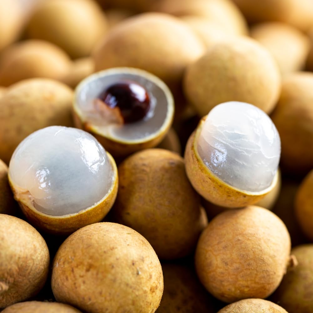 Tropical Longan Tree Live Plant, 3 Gallon Pot 2-3 Ft Tall, Garden Ready Fruit Plant for Patio and Outdoor Growing, No Ship to CA