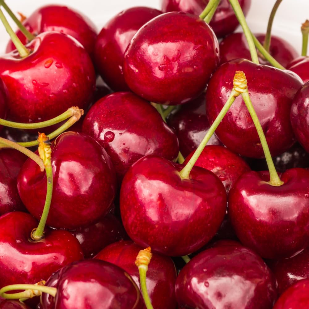 Cherry Live Tree Plant, 3-4 Feet Tall in 3 Gallon Pot, Cherry Trees Live Plants, Sweet Fruit Tree, Cold Hardy for Outdoor Gardening, No Ship to CA (Red)