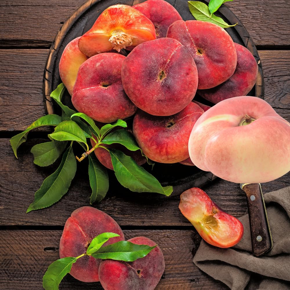 Ready to Bear Fruit Donut Peach Tree Live Plant, Thick Trunk Grafted Peach Plant 3 Gallon Pot, 3-4 Ft in Tall
