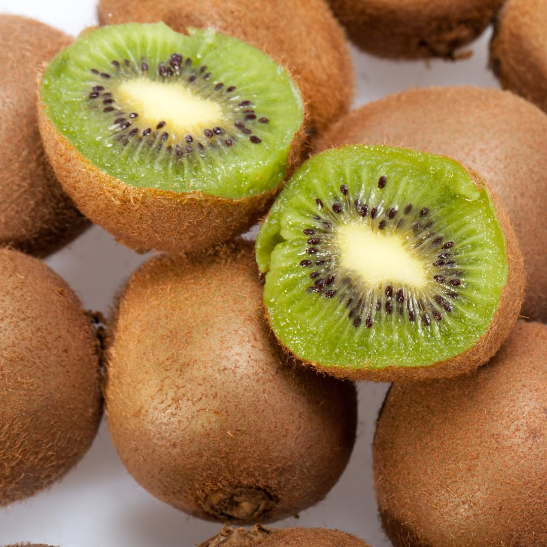 Hardy Kiwi Plant Live, Trellis Fruit Vine Plant, 4-8 Inch Tall