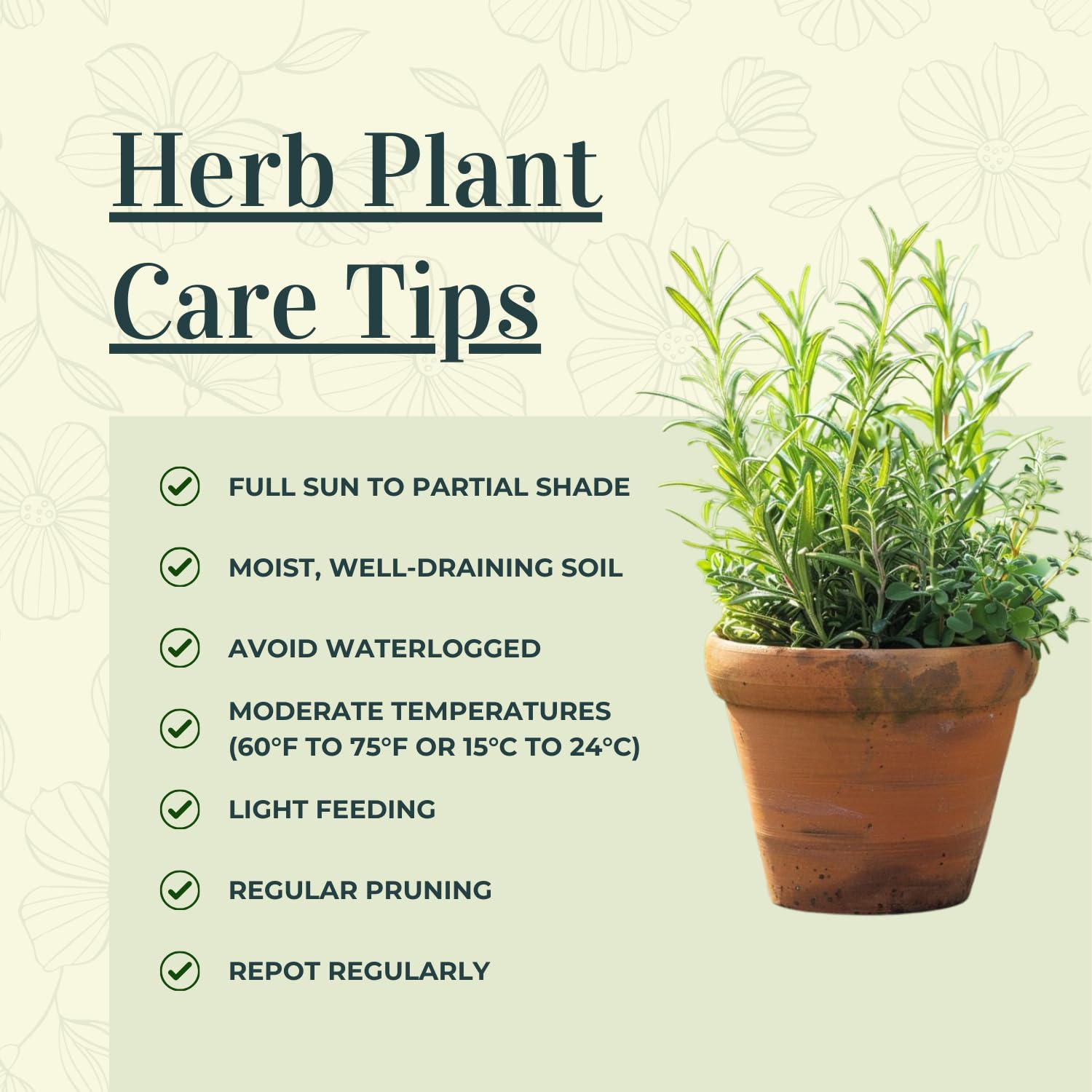 4 Mix Herb Plants Live, Edible and Fragrant Herb Assortment 4-8'' Tall (Lemon Balm, Mint, Rosemary, Other Assorted Herbs), Fresh Herbs for Containers and Gardens, No Pot